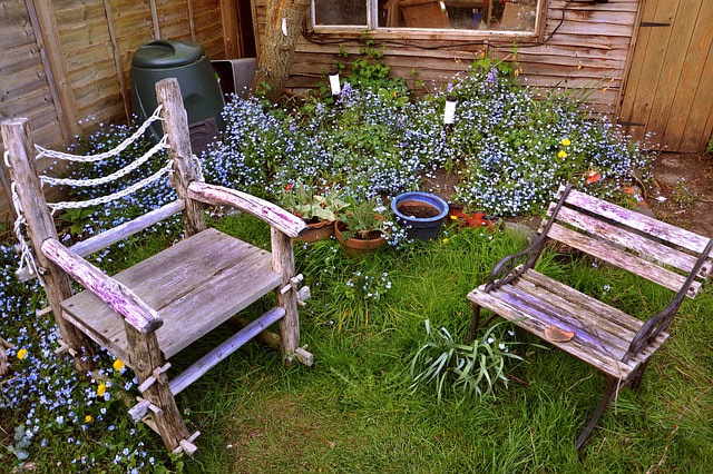 Garden Benches with Lilacs