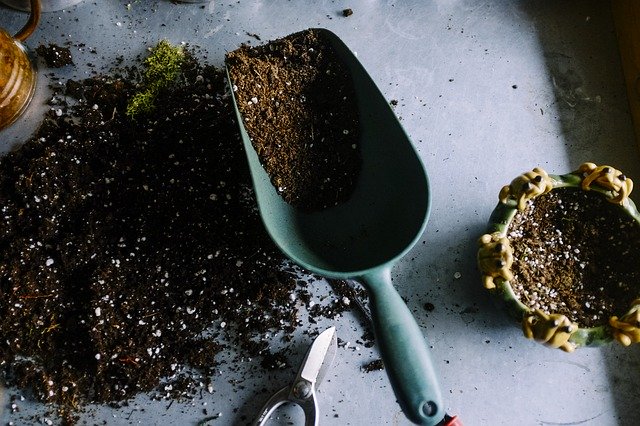 feeding your garden with the right compost