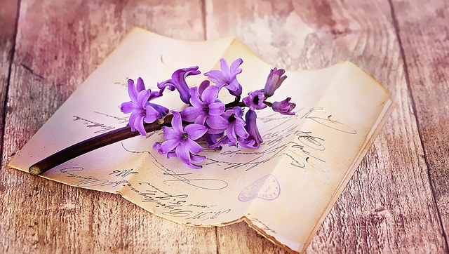 Hyacinth is a highly fragrant flower