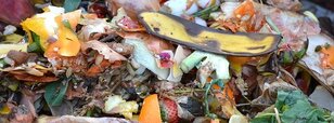 Compost Your Kitchen Scraps