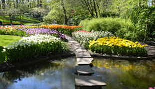 Landscaping with stone pathway and lake in Keukenhof, The Netherlands