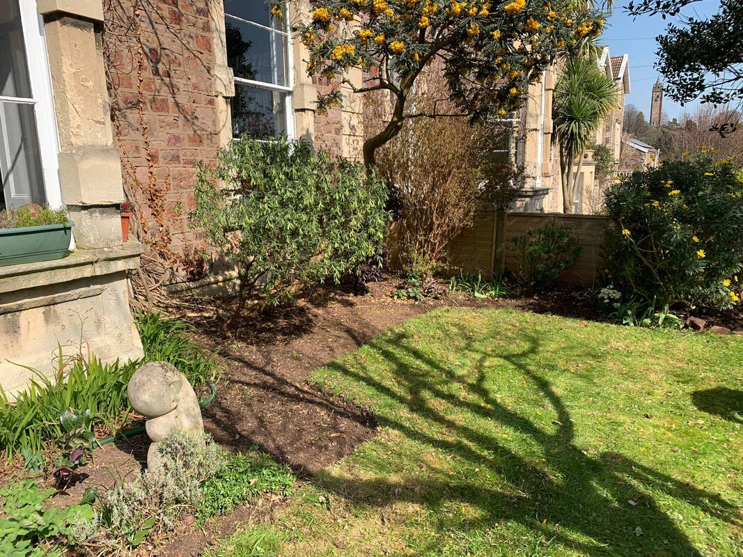 garden after cleaning service